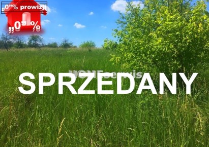 działka na sprzedaż - Ostrowiec Świętokrzyski, Częstocice