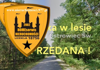 działka na sprzedaż - Ostrowiec Świętokrzyski, Henryków